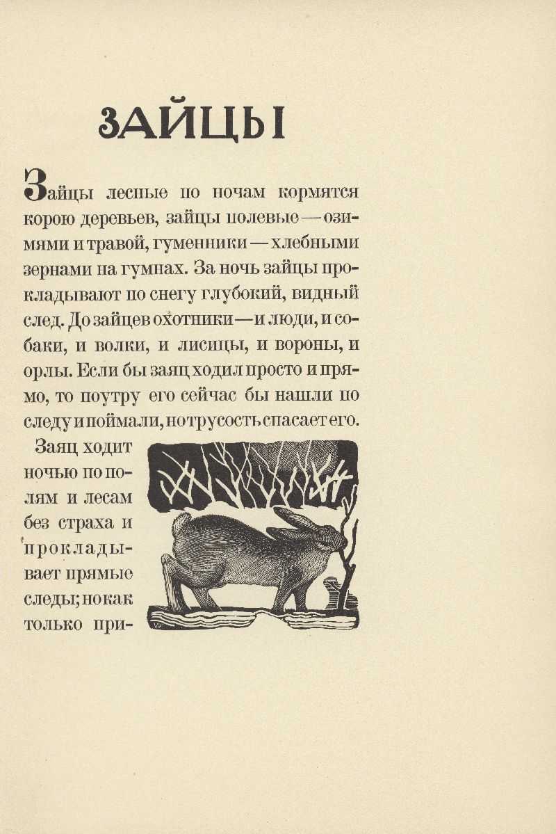 Школьное чтиво: толстой л. "русак"