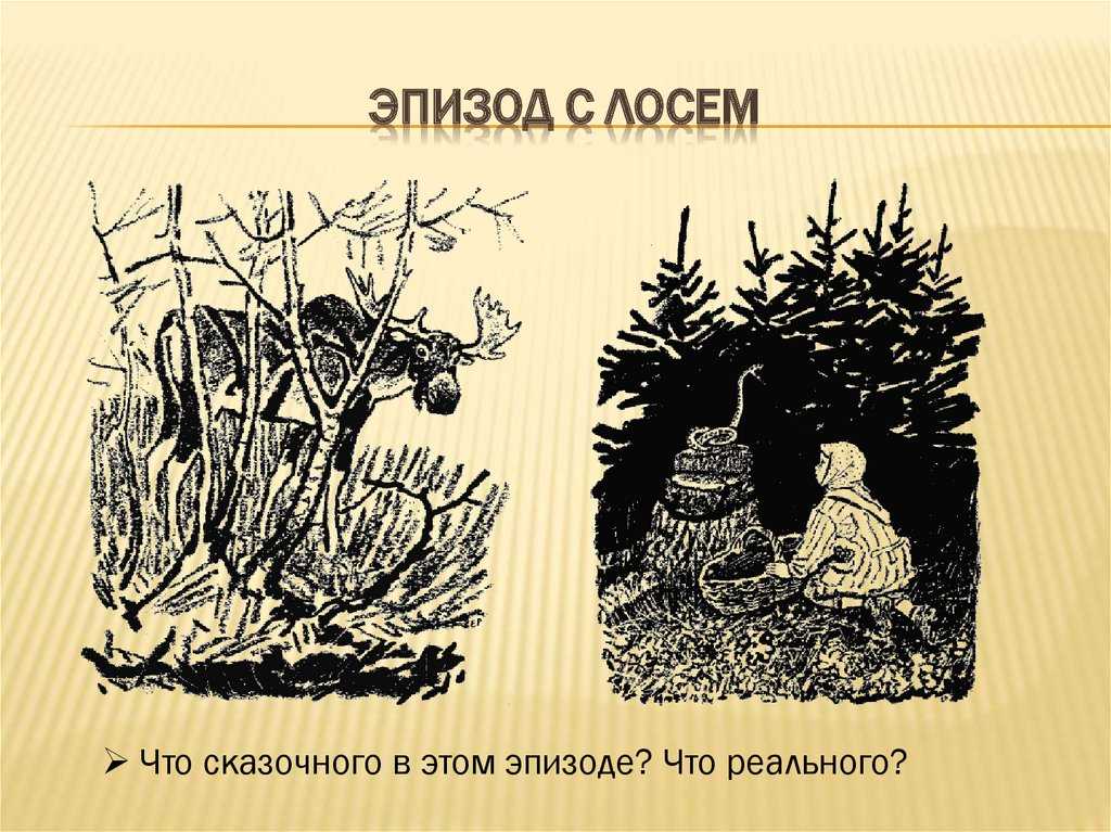Сочинение: “чему научила меня сказка-быль кладовая солнца” м.м. пришвина, 6 класс