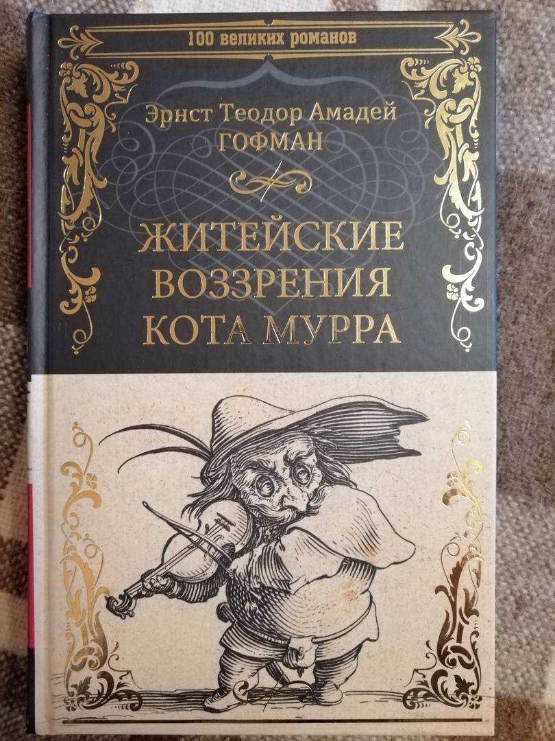 Гофман э. житейские воззрения кота мурра краткое содержание