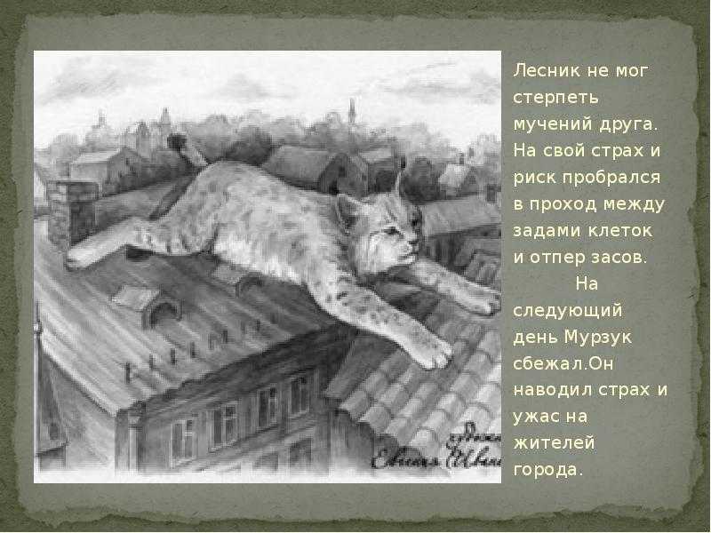 Тема - синий лапоть - краткое содержание рассказа пришвина (сюжет произведения)
