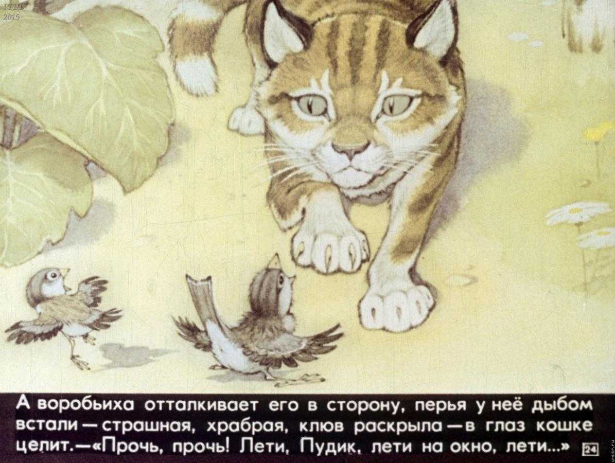 Ницше - человек, который бросил вызов богу и проиграл!