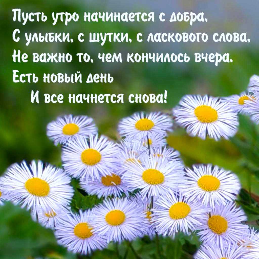 Добрым людям доброе утро - картинки и пожелания