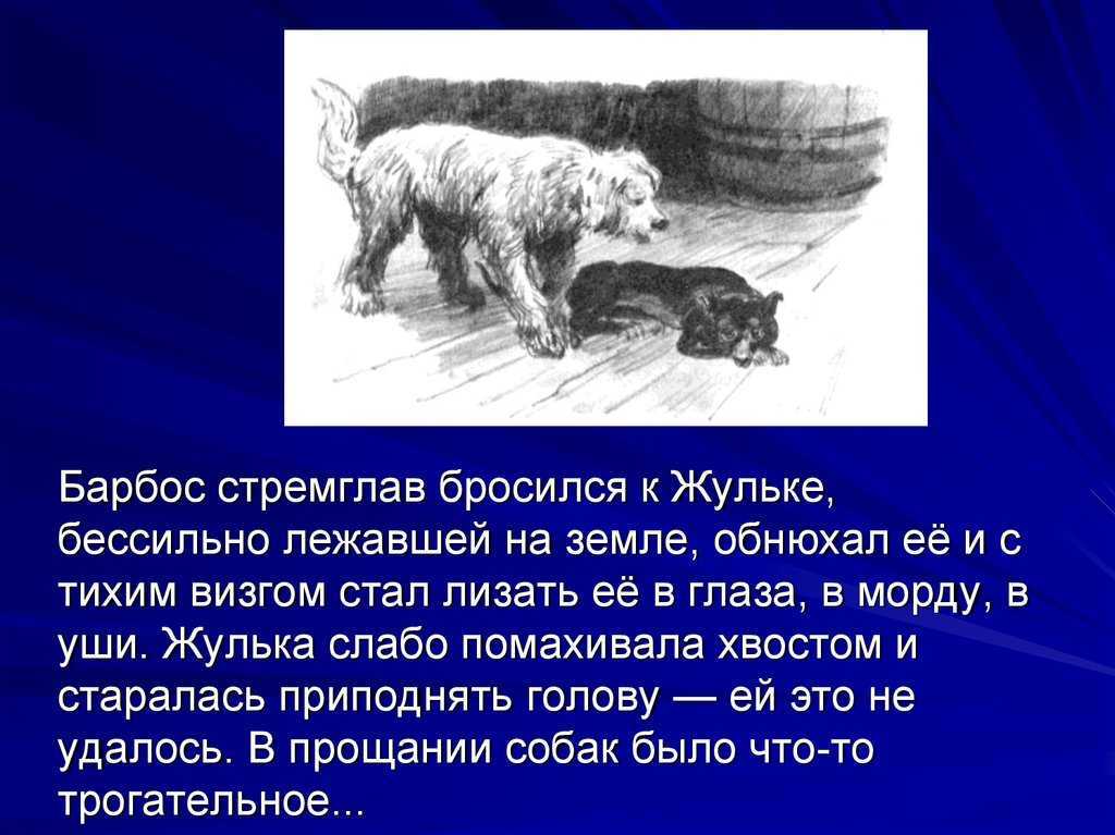 Краткое содержание рассказа «барбос и жулька» а. и. куприна