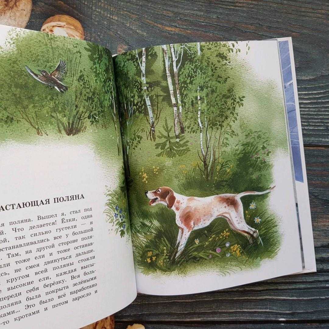 Лесная капель. краткое содержание книги пришвина