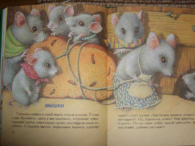 Серая мышь читать полностью. Ушинский сказка про мышонка. Короткий рассказ про мышку. Мышка сказка. Книга детская про мышку.