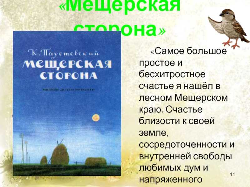 «мещёрская сторона» краткое содержание рассказа паустовского – читать пересказ онлайн