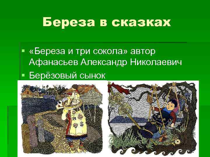 Владимир токарев: сказка «береза и три сокола». волшебные сказки от консультанта по управлению читать онлайн бесплатно