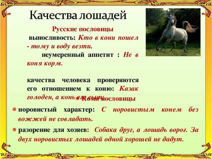 Белая гвардия. м. а. булгаков