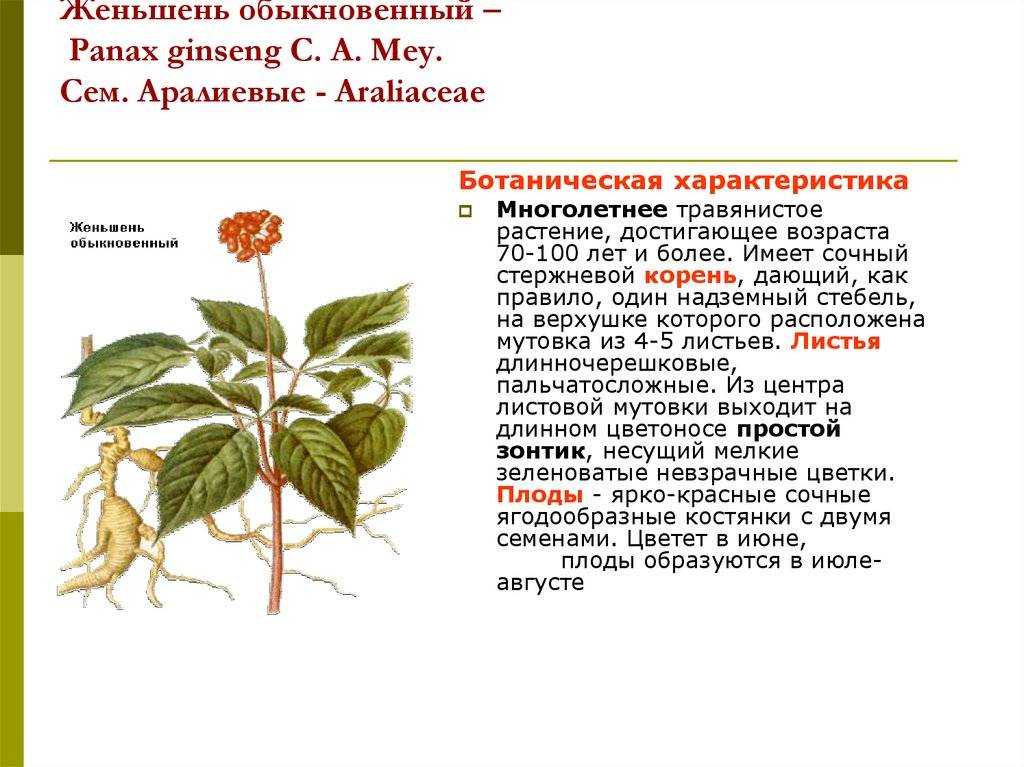 Анализ эпилога "преступления и наказания". смысл и роль эпилога