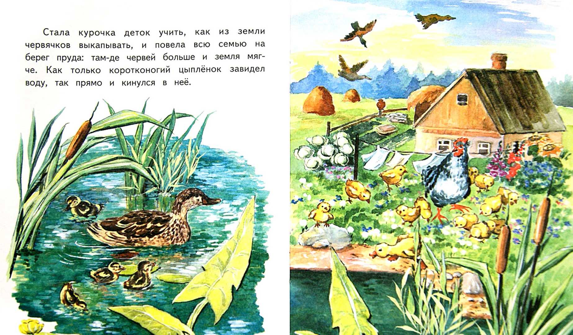 Курочка ряба: сакральный, скрытый и философский смысл сказки, символы, образы, герои.