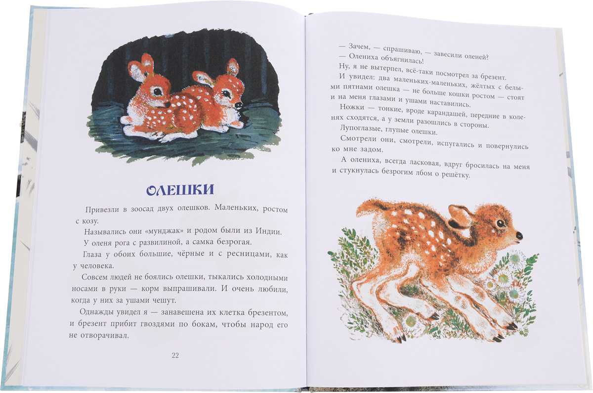 Детские сказки читать онлайн - детские сказки друзья евгений чарушин читать детские рассказы онлайн