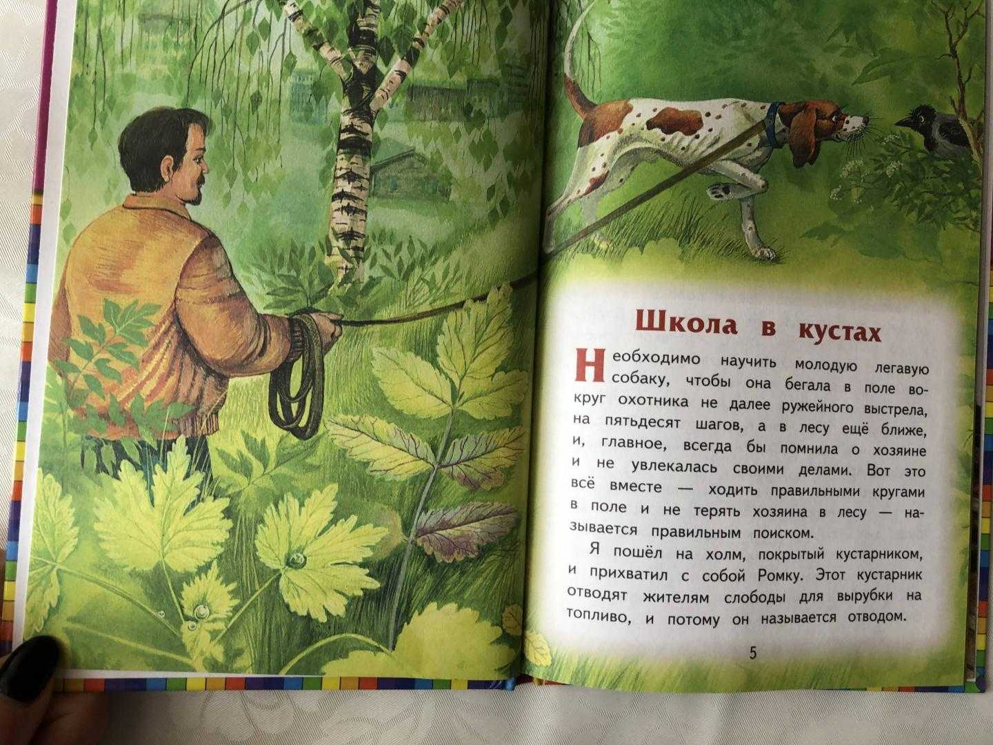 Рассказы пришвина для 1-2-3 класса читать