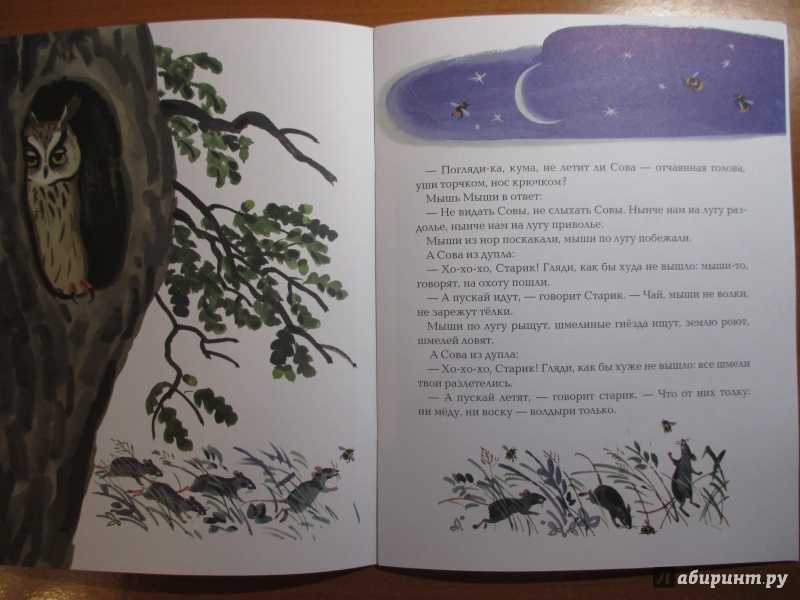 Бианки в. “сова”. читательский дневник, краткое содержание