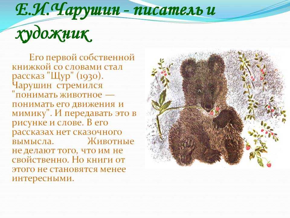 Чарушин евгений иванович