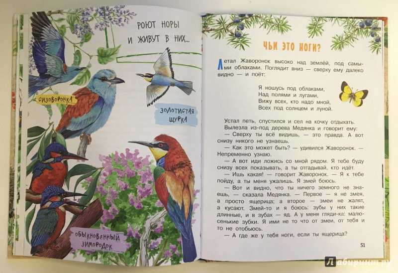 Рассказы про ноги. Бианки Лесные домишки АСТ. Чьи это ноги Бианки. Чьи это ноги Бианки читать. Лесные домишки книга для детей.