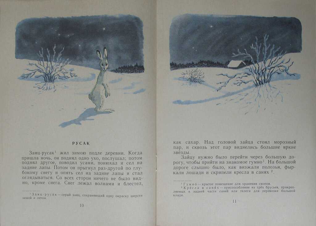 Русак рассказ 1 Абзац. Л Н толстой Русак. Произведение Льва Николаевича Толстого Русак. Зайцы зимой живут возле деревни впр ответы