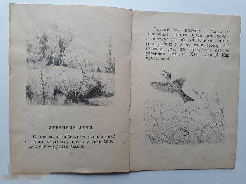 Константин ушинский: утренние лучи