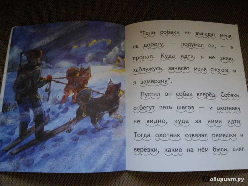 Рассказы о животных б. житкова