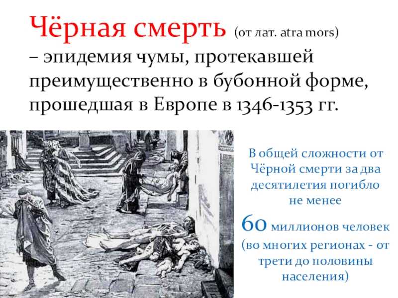 Чума! как «черная смерть» подготовила европу к расцвету возрождения