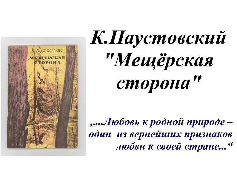 Паустовский мещерская сторона рисунок