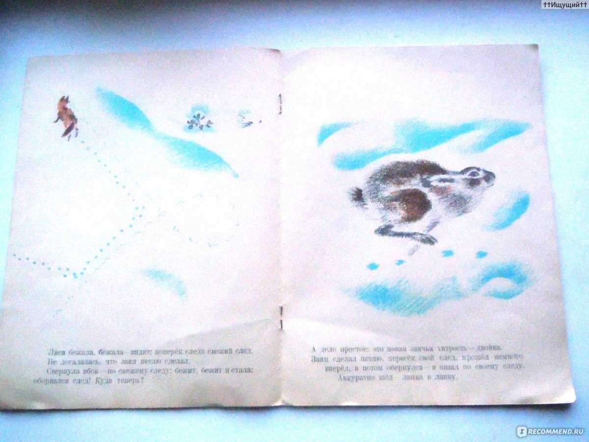 По следам: снежная книга