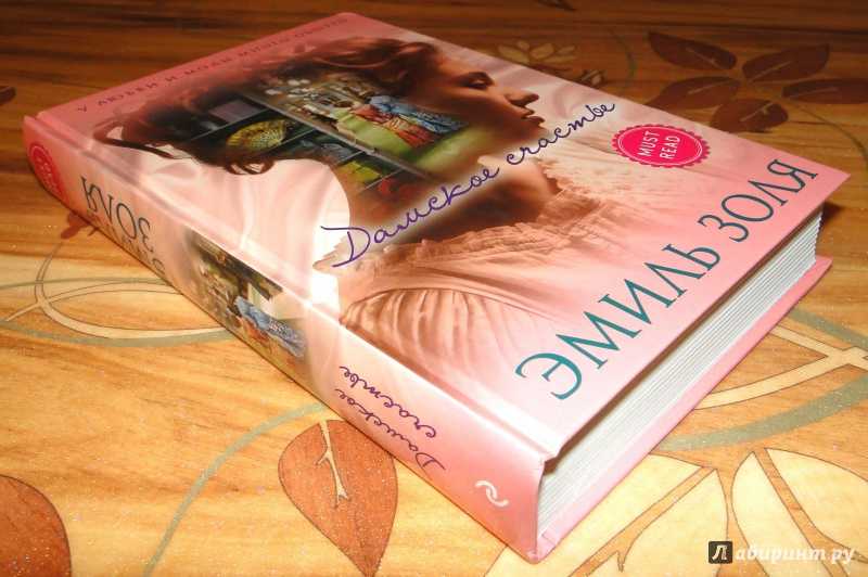 Книга дамское счастье читать онлайн