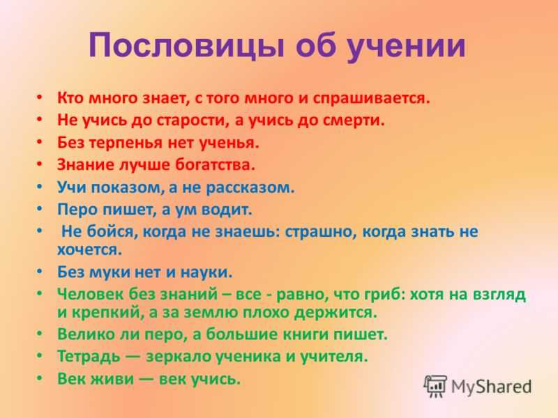 Век живи, век учись: работала горничной полтора года, но опыт получила огромный