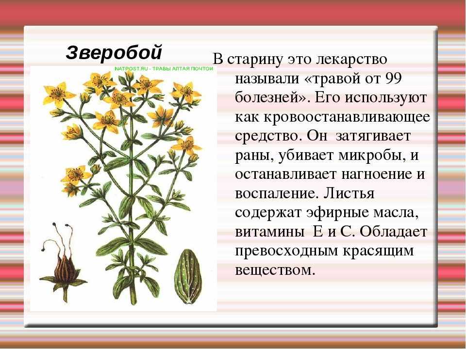 Реферат на тему: философские проблемы научно-технического прогресса