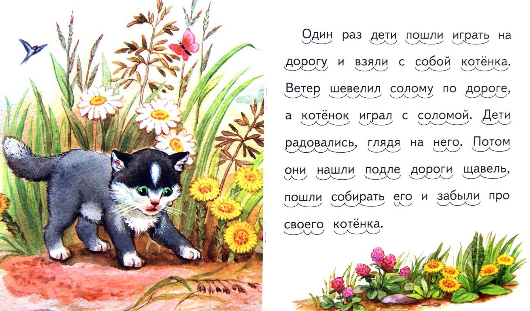 Сказка на ночь про зайчонка скока и лису алису — ирис ревю