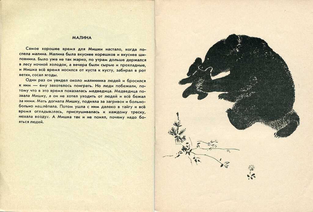 Медвежата - чарушин е.и. рассказ про озорных медвежат.