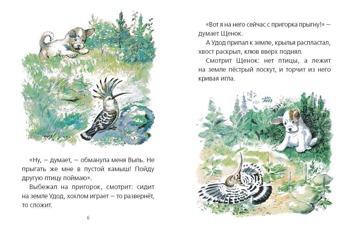 Петр i великий - личность и правление