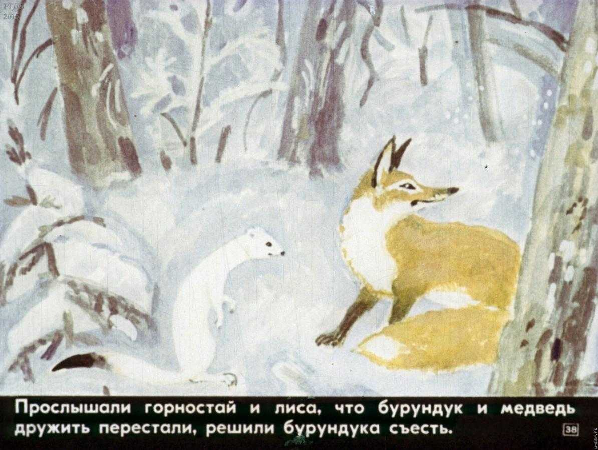 Как медведь и бурундук дружить перестали