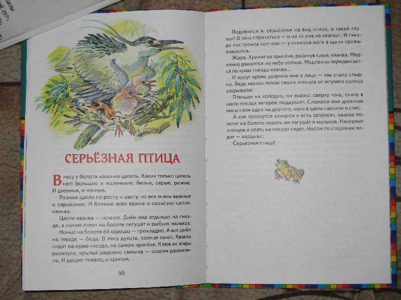 Читать сказку лесные сказки - сладков н.