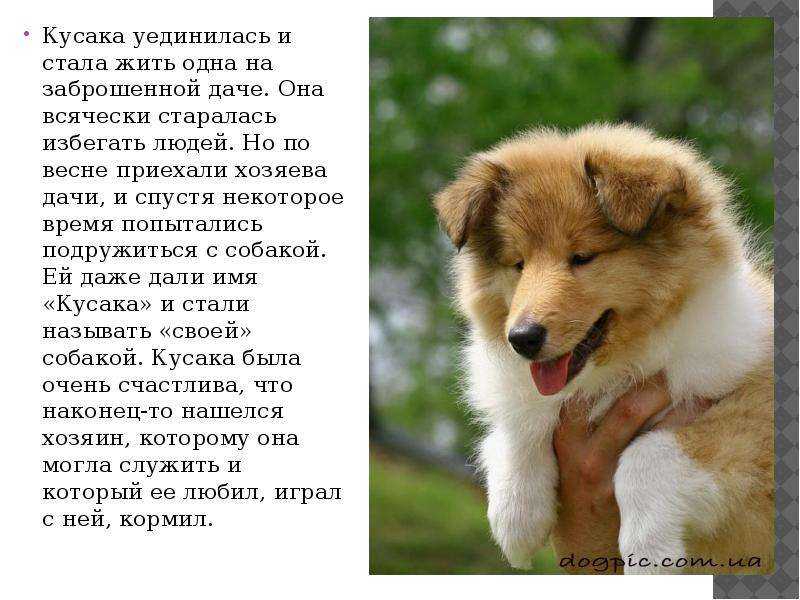 Владимир сорокин - настя » книги читать онлайн бесплатно без регистрации
