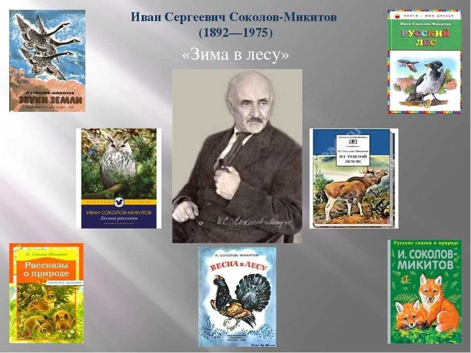 Г а скребицкий жизнь животных зимой. Иван Сергеевич Соколов-Микитов портрет. Портрет Соколова Микитова писателя. Иван Сергеевич Соколов-Микитов «у старой сосны». Соколов Микитов портрет для детей.