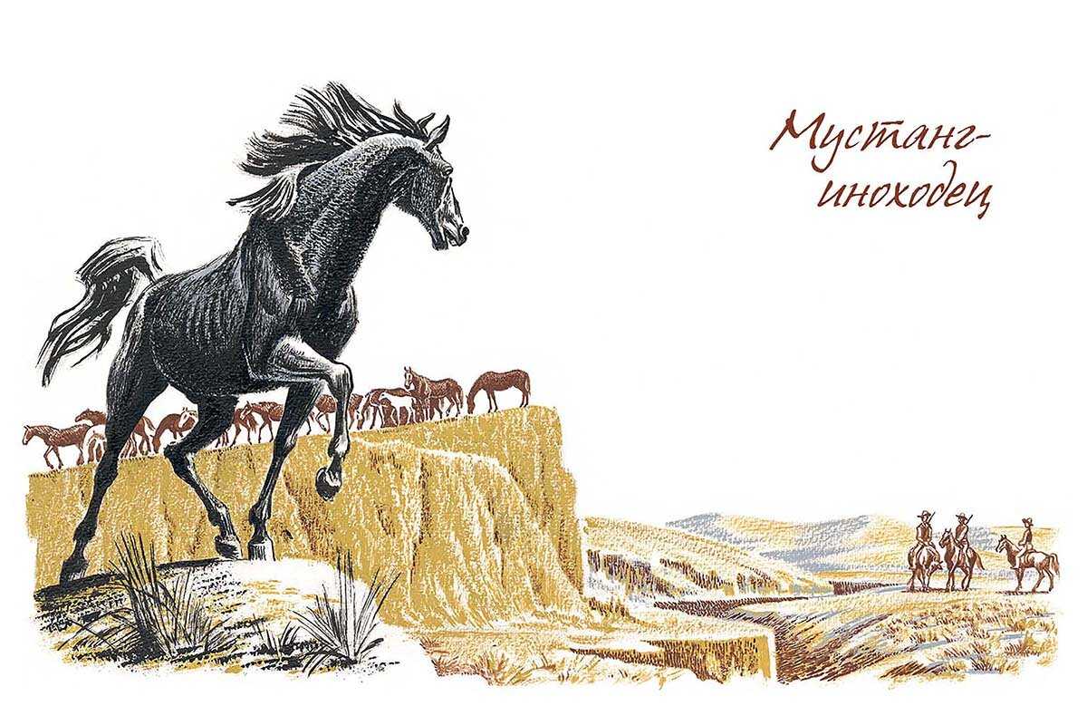 Томпсон «мустанг-иноходец»: краткое содержание книги