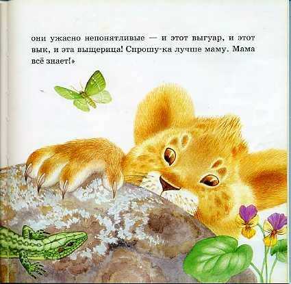 Непонятливый львёнок — сказка михаила пляцковского