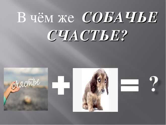 Краткое содержание куприн белый пудель крако и по главам за 2 минуты пересказ сюжета