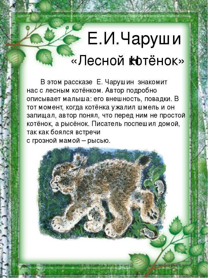 Чарушин рассказы - сказки басни пословицы рассказы - 28 октября - 43346146086 - медиаплатформа миртесен