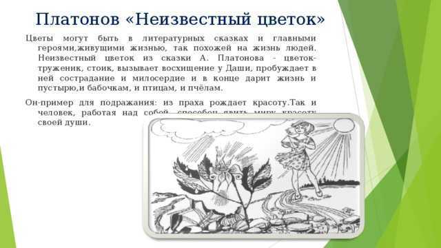 На глухом пустыре, где не росли даже сорняки, рос небольшой цветок Та были лишь одни камни и сухая глина Только ветер обдувал этот пустырь, принося сюда семена В плодородной земле из семечка вырастали цветы и травы, а тут между камней и глины погибали