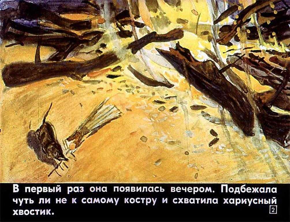 Белозубка - юрий коваль