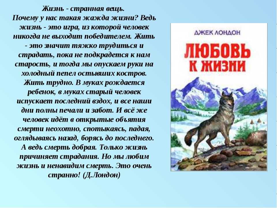 Произведение джека лондона любовь к жизни. Джек Лондон "любовь к жизни". Джек Лондон любовь к жизни краткое содержание. Джек Лондон любовь к жизни иллюстрации. Лондон любовь к жизни.