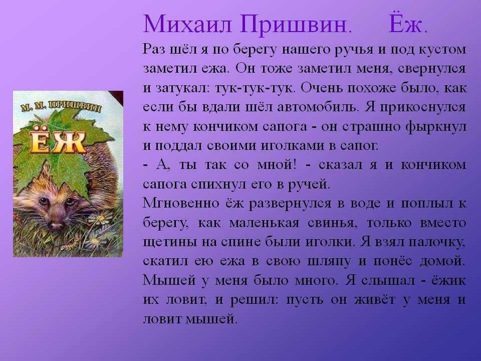 «голубая стрекоза» (пришвин): краткое содержание рассказа