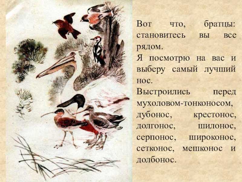 Бианки «чей нос лучше?»