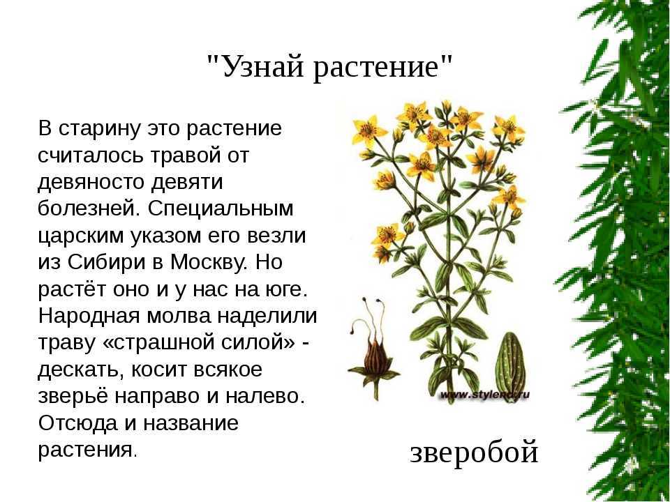 Краткое изложение книги герберта маркузе «одномерный человек»