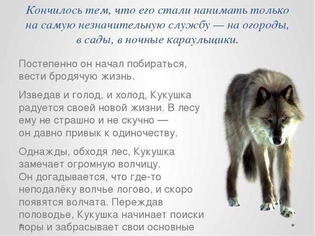Краткое содержание кукушка - рассказ ивана бунина читать онлайн
