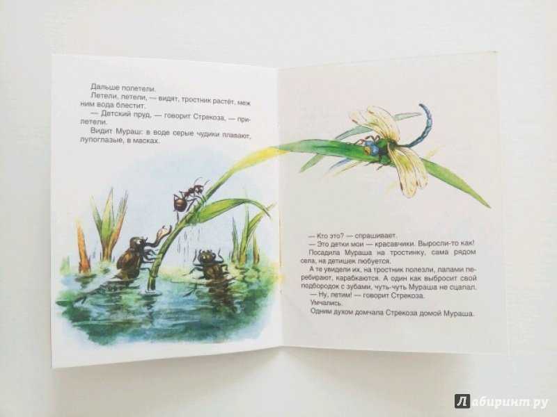 Приключения муравьишки, бианки, читать с картинками