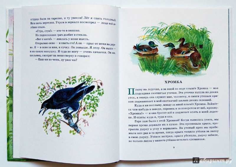 Пришвин «хромка» читать полностью