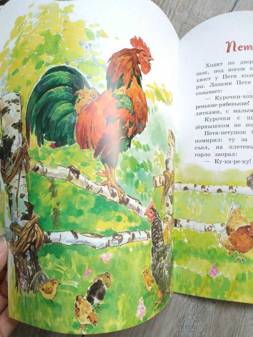 Конспект од по чтению художественной литературы с использованием икт (младший возраст). «петушок с семьей» к. ушинский. воспитателям детских садов, школьным учителям и педагогам - маам.ру