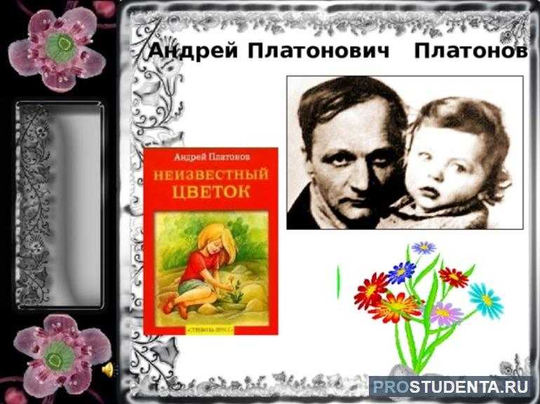 "неизвестный цветок"